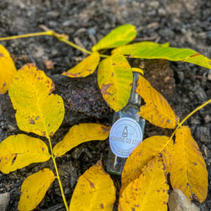 Nothing to Lose Original