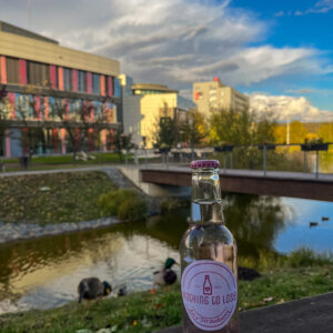 Nothing to Lose Juicy Strawberry